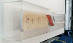 Cricket Bat in acrylic box